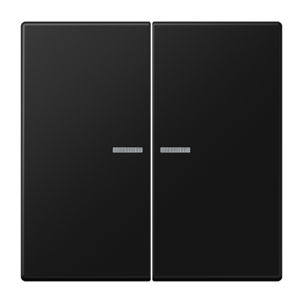 KNX RF кнопка, 2 группы, LS 10921 ST RF SWM