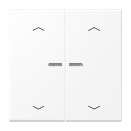 JUNG HOME кнопка, 2 группы с символами «стрелки», BT LS 17102 P WWM