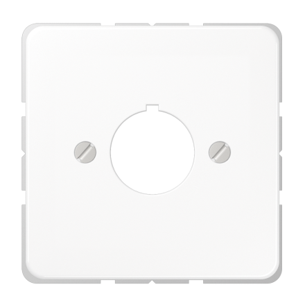 CD564WW Крышка для установки специальных гнезд ? 22,5 мм; белая