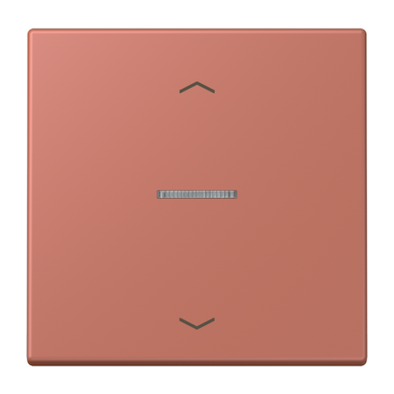 JUNG HOME кнопка, 1 группа с символами «стрелки», BT LC 17101 P236