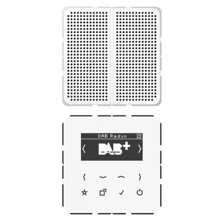 Цифровое радио DAB, DABCD1WW