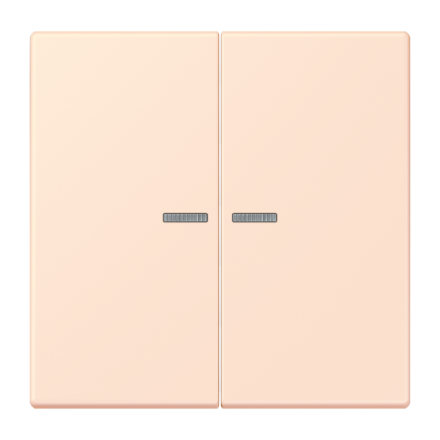 JUNG HOME кнопка, 2 группы, BT LC 17102226