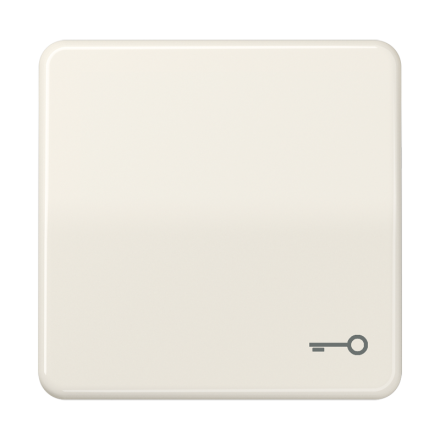 CD590T Клавиша с символом ключ; слоновая кость