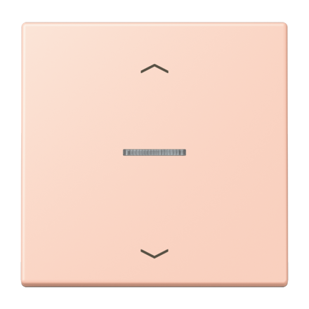 JUNG HOME кнопка, 1 группа с символами «стрелки», BT LC 17101 P234