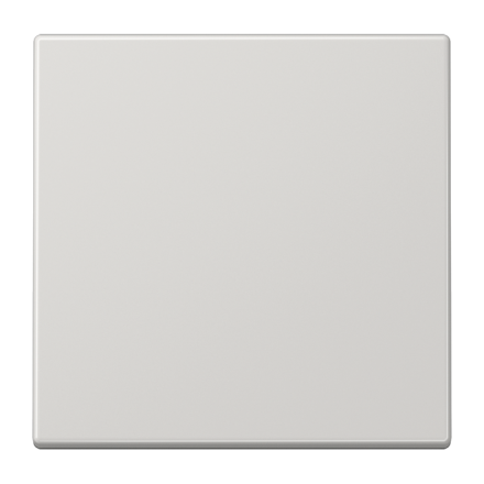 LS990LG Клавиша для выключателя и кнопки; светло-серая