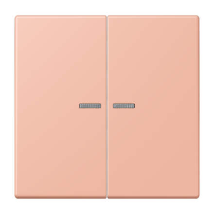 JUNG HOME кнопка, 2 группы, BT LC 17102231