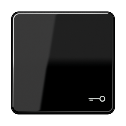 CD590TSW Клавиша с символом ключ; черная