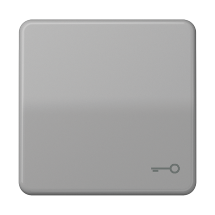 CD590TGR Клавиша с символом ключ; серая