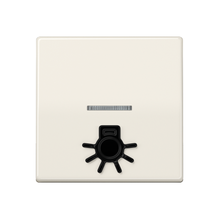 AS591L1KO5 Клавиша с окошком для подсветки и символом свет; слоновая кость