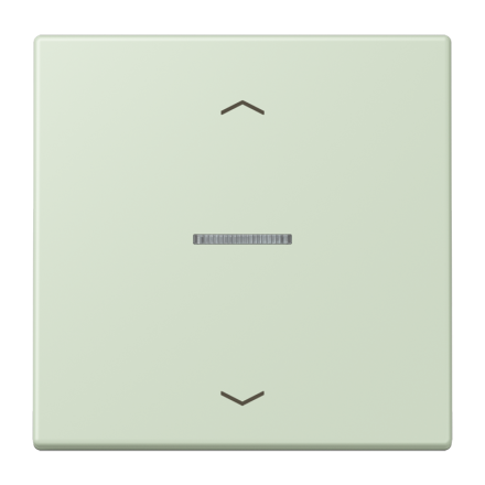 JUNG HOME кнопка, 1 группа с символами «стрелки», BT LC 17101 P218