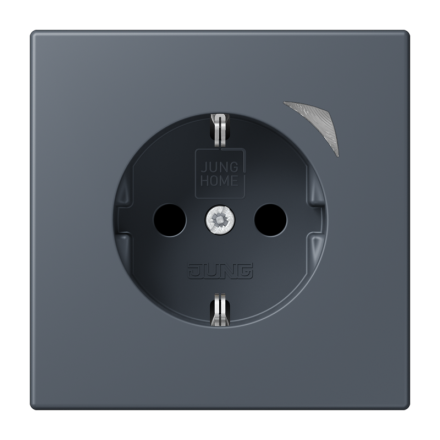 JUNG HOME SCHUKO® розетка, BT LC 1521 S262
