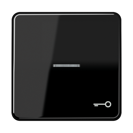 CD590KO5TSW Клавиша с окошком и символом ключ для выключателей с подсветкой; черная