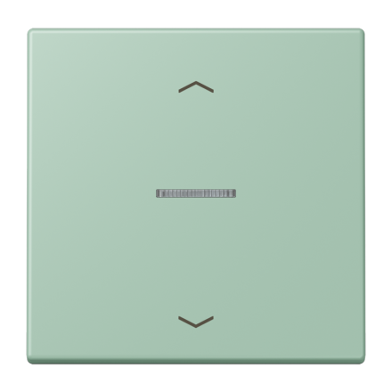 JUNG HOME кнопка, 1 группа с символами «стрелки», BT LC 17101 P217