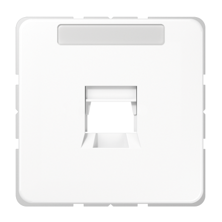 CD569-1WEWW Крышка для модульных гнезд; белая