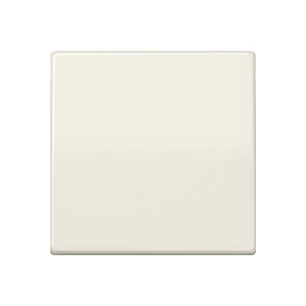 AS591BFS Клавиша для балансирного выключателя; термопласт; слоновая кость