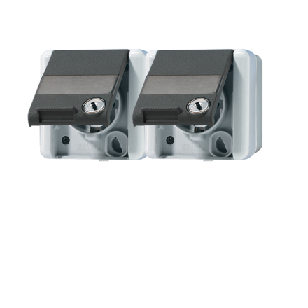 8220NAWSL Двойная горизонтальная SCHUKO-розетка 16A 250V  с полем для надписи IP44