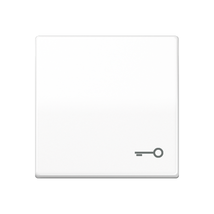 Клавиша с символом «ключ», SPAS 591 T WW