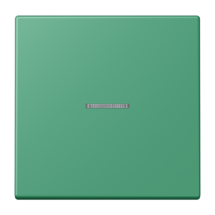 JUNG HOME кнопка, 1 группа, BT LC 17101250