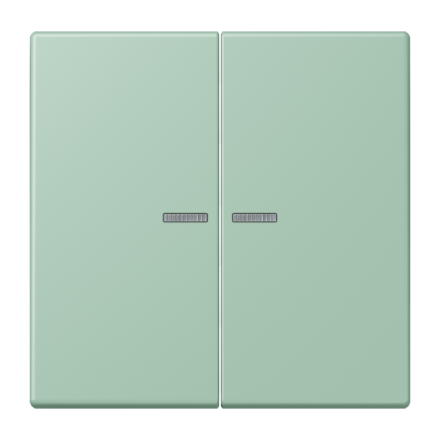 JUNG HOME кнопка, 2 группы, BT LC 17102217