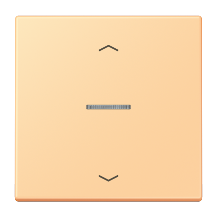 JUNG HOME кнопка, 1 группа с символами «стрелки», BT LC 17101 P258