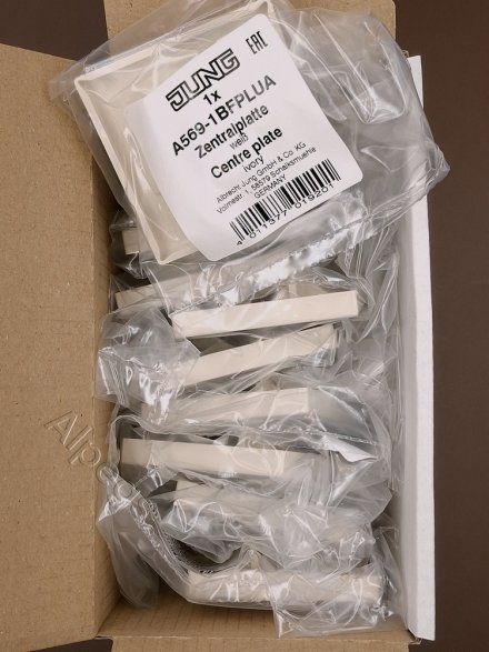 A569-1BFPLUA Крышка для телефонных и компьютерных розеток UAE; слоновая кость