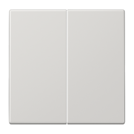 LS995LG Клавиши для сдвоенных выключателей; светло-серые