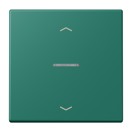 JUNG HOME кнопка, 1 группа с символами «стрелки», BT LC 17101 P216