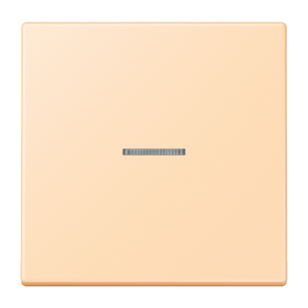 JUNG HOME кнопка, 1 группа, BT LC 17101223