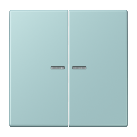 JUNG HOME кнопка, 2 группы, BT LC 17102214