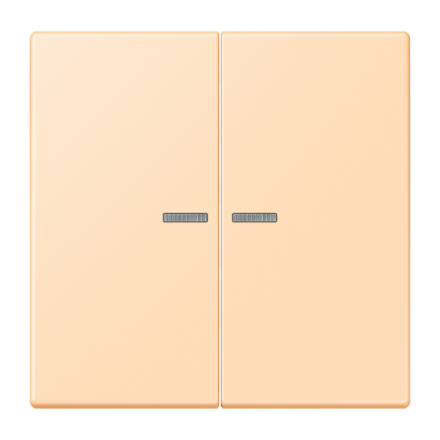 JUNG HOME кнопка, 2 группы, BT LC 17102223