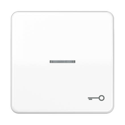 CD590KO5TWW Клавиша с окошком и символом ключ для выключателей с подсветкой; белая