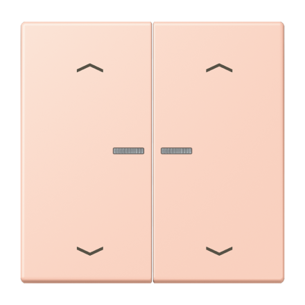 JUNG HOME кнопка, 2 группы с символами «стрелки», BT LC 17102 P234