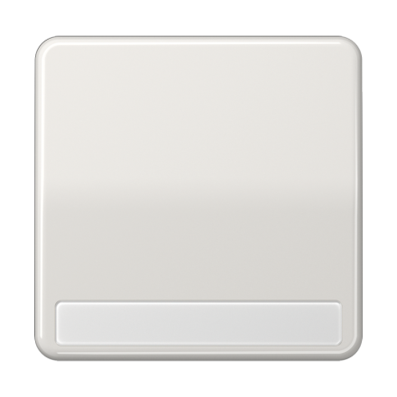 CD590NALG Клавиша для выключателя с полем для надписи; светло-серая