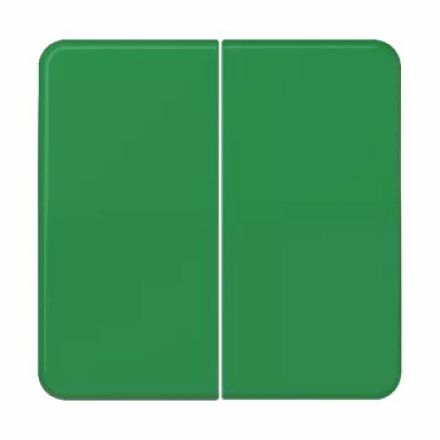 CD595GN Клавиши для сдвоенных выключателей и кнопок; зеленые