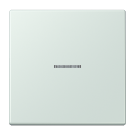 JUNG HOME кнопка, 1 группа, BT LC 17101215