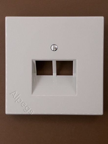 LS969-2UALG Крышка для двойной телефонной и компьютерной розетки UAE; светло-серая