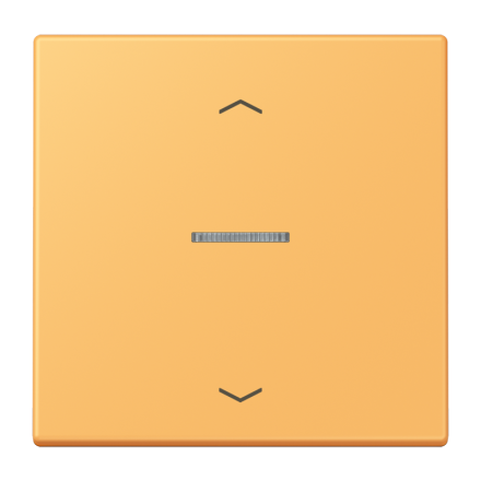 JUNG HOME кнопка, 1 группа с символами «стрелки», BT LC 17101 P254