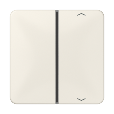 CD401TSAP клавиша с символом для пульта KNX, слоновая кость, для серии CD