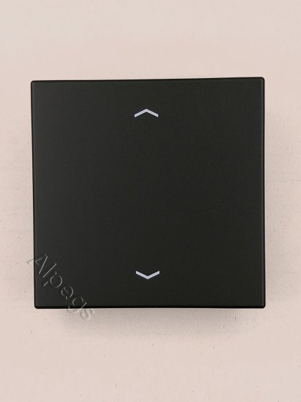Клавиша для кнопки BCU, цвет матовый черный LS990PSWM