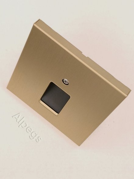 LSmetal Накладка для комп. розетки 1хRJ45, латунь. ME2969-1UAC