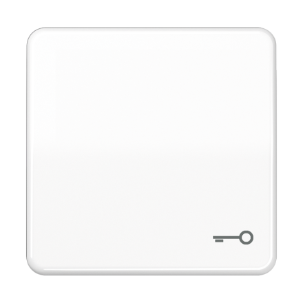 CD590BFTWW Клавиша ударопрочная с символом ключ; белая