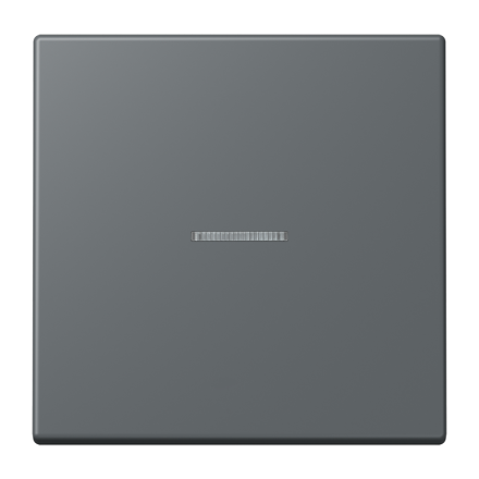 JUNG HOME кнопка, 1 группа, BT LC 17101202