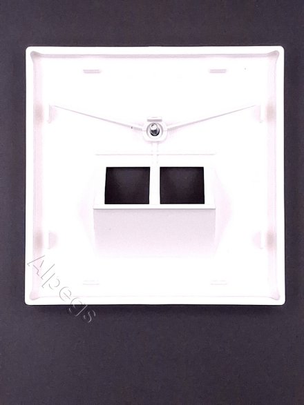 LS969-2UAWW Крышка для двойной телефонной и компьютерной розетки UAE; белая