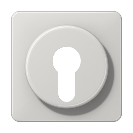 CD528LG Крышка для выключателя с замком; светло-серая