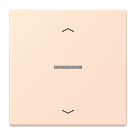 JUNG HOME кнопка, 1 группа с символами «стрелки», BT LC 17101 P226