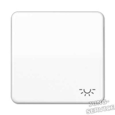 CD590LPT Клавиша с символом освещение; платина