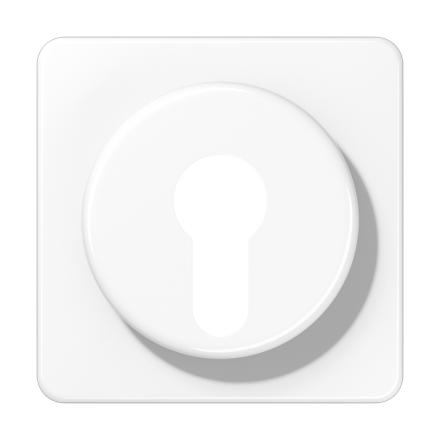 CD528WW Крышка для выключателя с замком; белая