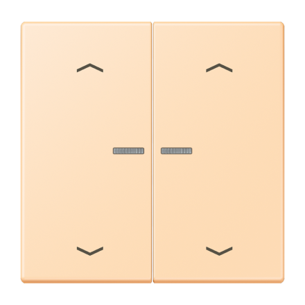 JUNG HOME кнопка, 2 группы с символами «стрелки», BT LC 17102 P223