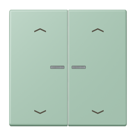 JUNG HOME кнопка, 2 группы с символами «стрелки», BT LC 17102 P217