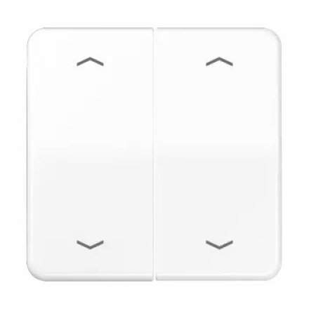 CD595MPWW Клавиши для сдвоенной кнопки BCU; белые